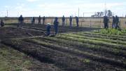 En “el campo” no todo es lo mismo