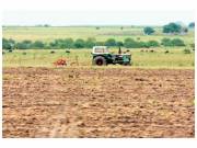 Se profundiza la concentración del uso de las tierras agrícolas 