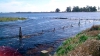 &ldquo;El tiempo est&aacute; loco&rdquo;: en 7 a&ntilde;os Argentina deforest&oacute; 2 millones de hect&aacute;reas