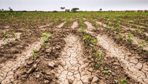 “La situación que están pasando los pequeños productores del campo es demoledora”