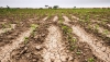 &ldquo;La situaci&oacute;n que est&aacute;n pasando los peque&ntilde;os productores del campo es demoledora&rdquo;