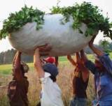 Una postal de la Argentina a la que no le lleg&oacute; la bonanza