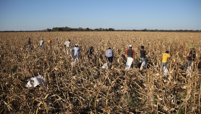 "Esta Pandemia pone en discusi&oacute;n el modelo de producci&oacute;n de alimentos", advierten t&eacute;cnicos y profesionales agrarios