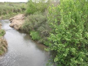 Ciudadanos y organizaciones contra la ley que entrega tierras y puertos