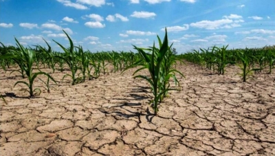 Sequ&iacute;a y heladas: piden medidas urgentes para contener a la agricultura familiar y peque&ntilde;os productores