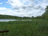 El humo que no deja ver