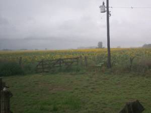 Diario de un escritor entrerriano