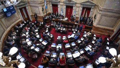 El tratamiento o no por parte del Senado y la aprobaci&oacute;n o rechazo de la transferencia definir&aacute;n el futuro de V&iacute;as Navegables Paran&aacute; Medio.