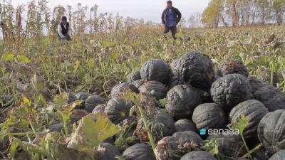 Agricultura familiar: el cierre implicar&aacute; 40 despidos en Entre R&iacute;os y miles de productores sin asistencia