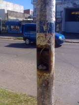 Trampa mortal en las columnas de luz