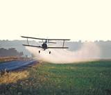 Andr&eacute;s Carrasco: &ldquo;La agricultura debe producir alimentos, no mercanc&iacute;as&rdquo;