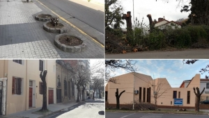 Advierten un agravamiento de la deforestaci&oacute;n en Paran&aacute;