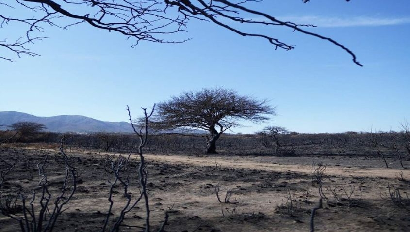 Incendios en C&oacute;rdoba: el mismo fuego, m&uacute;ltiples culpables