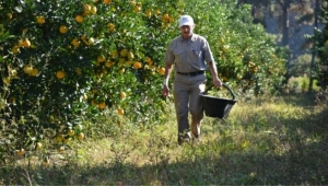 Trabajo estacional: qu&eacute; impacto potencial tiene en Entre R&iacute;os el decreto que alienta el blanqueo