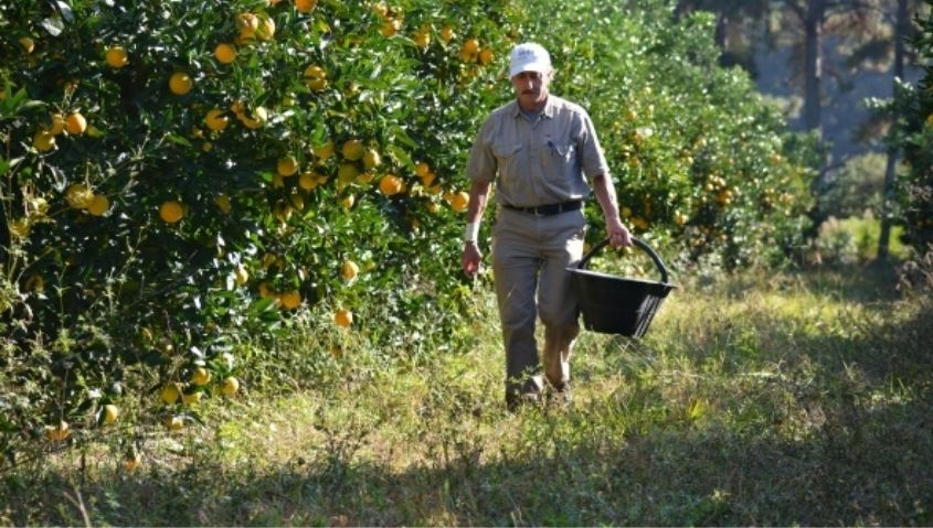 Trabajo estacional: qu&eacute; impacto potencial tiene en Entre R&iacute;os el decreto que alienta el blanqueo