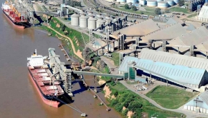 Vicent&iacute;n y la incidencia de los medios de comunicaci&oacute;n en la opini&oacute;n p&uacute;blica