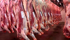 Cierre de exportaciones: el PTP Entre R&iacute;os pide medidas que trasciendan la coyuntura