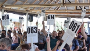 AGMER adelant&oacute; que no iniciar&aacute; las clases en 2022 sin recomposici&oacute;n salarial