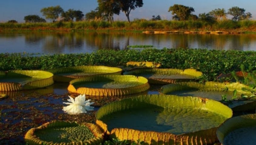 Sobre el D&iacute;a Mundial del Agua