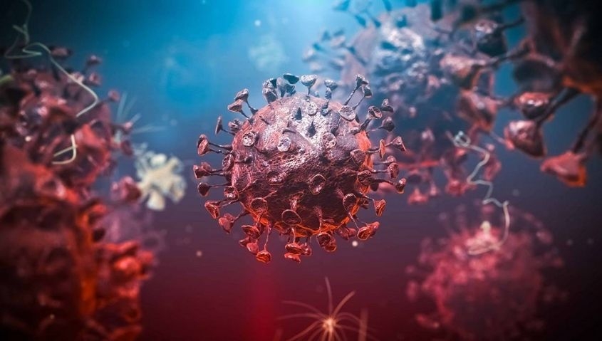 Por primera vez en dos a&ntilde;os no hubo muertes por Covid19 en Argentina