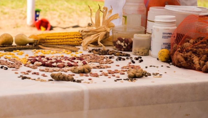 Nueva feria de alimentos saludables en AGMER Paran&aacute;