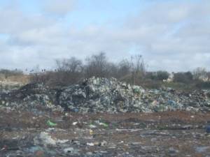 Conviviendo con la basura