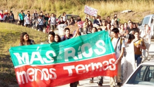 "Detr&aacute;s de cada delito ambiental siempre hay un funcionario corrupto" (*)