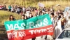 "Detr&aacute;s de cada delito ambiental siempre hay un funcionario corrupto" (*)