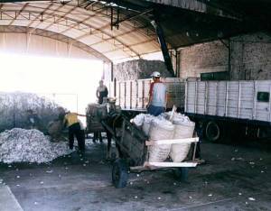 Revertir el &eacute;xodo con la diversidad productiva