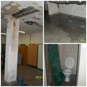 Encuentran alacranes en el ba&ntilde;o de una escuela