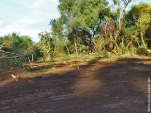 Resisten el desmonte en la Toma Vieja de Paran&aacute;