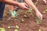 La mejor opci&oacute;n es la agroecolog&iacute;a