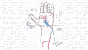 Hidrov&iacute;a (la mal llamada)