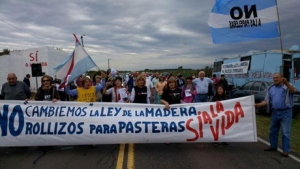 Ambientalistas, concejales e instituciones de Gualeguaychú solicitan a Diputados que no deroguen la Ley de la Madera