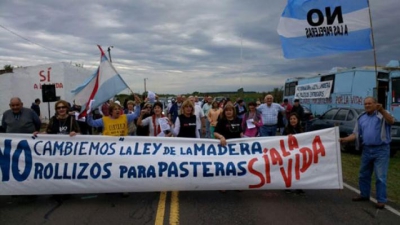 Ambientalistas, concejales e instituciones de Gualeguaych&uacute; solicitan a Diputados que no deroguen la Ley de la Madera