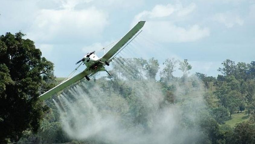 M&eacute;dico e investigador explica los da&ntilde;os gen&eacute;ticos que causan los agroqu&iacute;micos