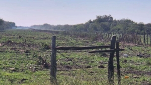 La Justicia entrerriana orden&oacute; detener desmontes ilegales en el departamento Villaguay