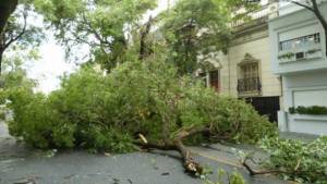 Tormenta del Domingo 16/12/12, Paran&aacute;