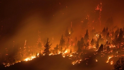 Equipo de extensi&oacute;n de UADER alerta por el avance de los incendios forestales
