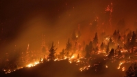 Equipo de extensi&oacute;n de UADER alerta por el avance de los incendios forestales