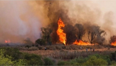 Incendios y emergencia h&iacute;drica: intendentes entrerrianos de todo el arco pol&iacute;tico alertan a la poblaci&oacute;n