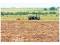 Se profundiza la concentraci&oacute;n del uso de las tierras agr&iacute;colas 