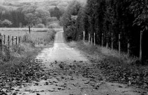 Diario de un escritor entrerriano